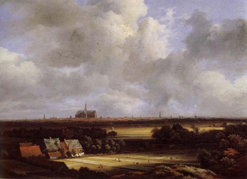 Jacob van Ruisdael View of Haarlem with Bleaching Grounds china oil painting image